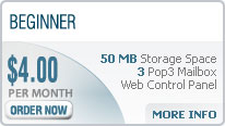 Hosting Package 1